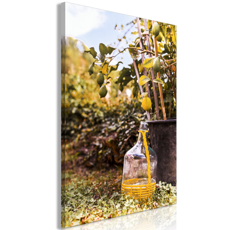 Canvas Print Lemon orchard - photo of an Italian garden with a lemon tree 135844 additionalImage 2