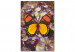 Paint by number Amber Dream - Butterfly with Yellow and Orange Wings 146544 additionalThumb 3