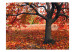Photo Wallpaper Tree in fall 59844 additionalThumb 1