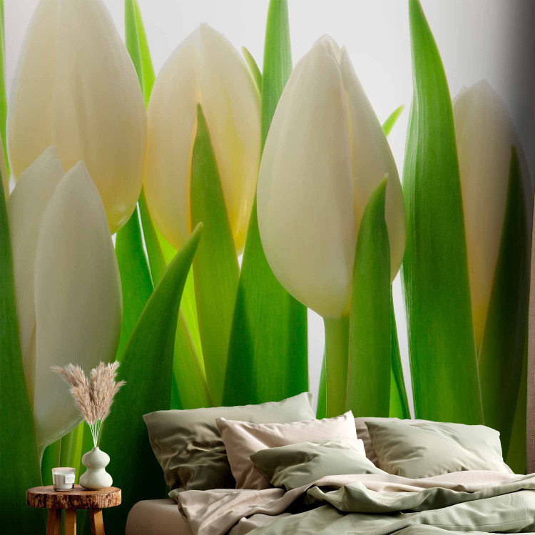 Photo Wallpaper White Tulips - Natural Floral Motif with Energetic Green 60344 additionalImage 2