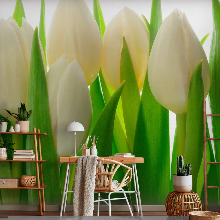 Photo Wallpaper White Tulips - Natural Floral Motif with Energetic Green 60344 additionalImage 4