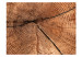 Photo Wallpaper Tree trunk cross section 61044 additionalThumb 1