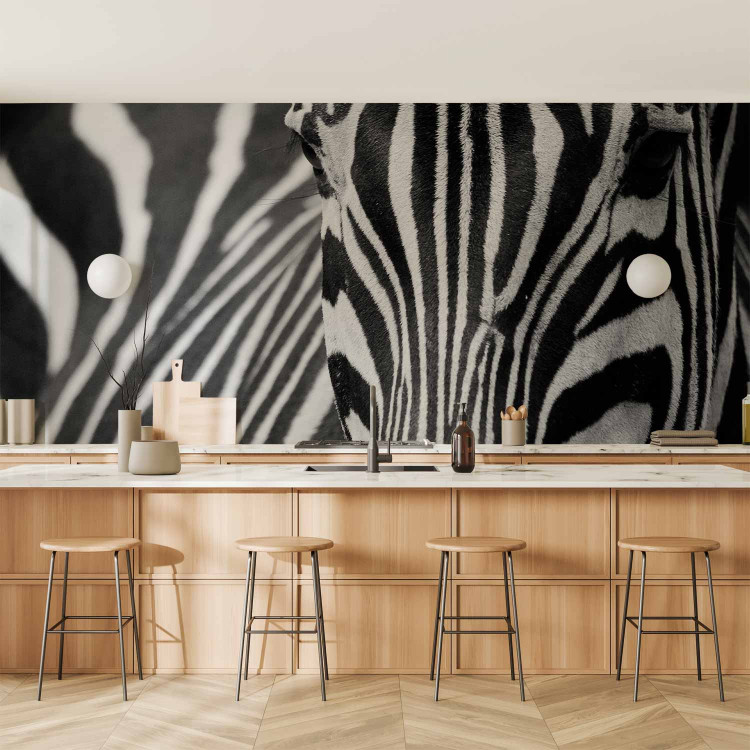 Wall Mural African Nature - Monolithic zebra in black and white stripes on a black background 61344 additionalImage 6