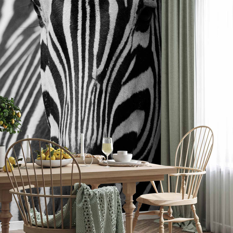Wall Mural African Nature - Monolithic zebra in black and white stripes on a black background 61344 additionalImage 7