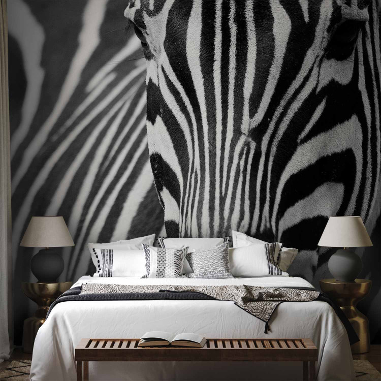 Wall Mural African Nature - Monolithic zebra in black and white stripes on a black background 61344 additionalImage 2