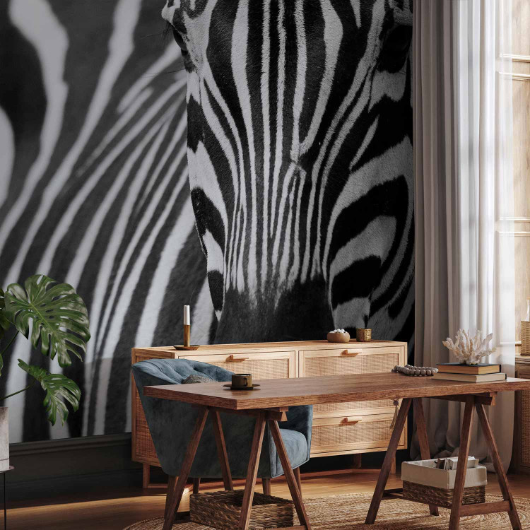 Wall Mural African Nature - Monolithic zebra in black and white stripes on a black background 61344 additionalImage 4