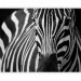 Wall Mural African Nature - Monolithic zebra in black and white stripes on a black background 61344 additionalThumb 1