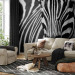 Wall Mural African Nature - Monolithic zebra in black and white stripes on a black background 61344
