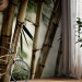 Photo Wallpaper Japanese Theme - Oriental Plants with Macro Shot of Bamboo 61444 additionalThumb 4