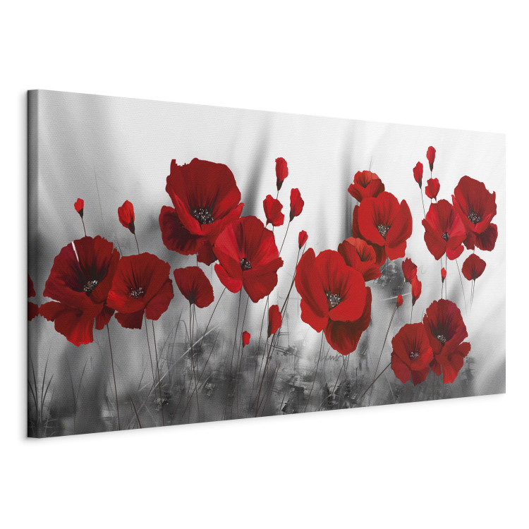 Canvas Red Poppy Flowers in the Meadow - Romantic Flowers against Grey Plants 107254 additionalImage 2