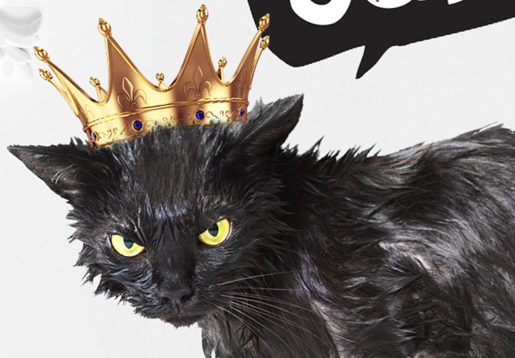 Poster Cat in the crown - black animal on a white background adorned with ornaments 114354 additionalImage 9