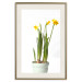 Poster Daffodil - yellow spring flowers in a turquoise pot on a white background 116654 additionalThumb 23