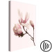 Canvas Print Symbol of Spring (1-part) - Pink Magnolia Bloom in Nature's Hue 117154 additionalThumb 6