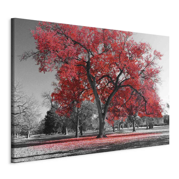 Canvas Print Autumn in the Park (1 Part) Wide Red 122754 additionalImage 2