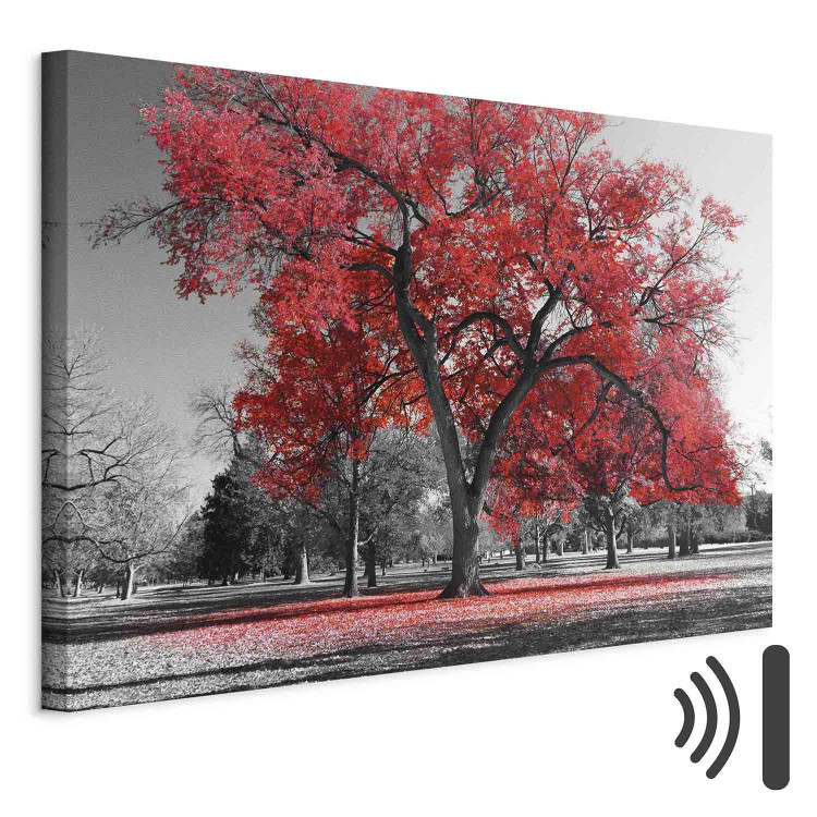 Canvas Print Autumn in the Park (1 Part) Wide Red 122754 additionalImage 8