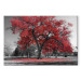 Canvas Print Autumn in the Park (1 Part) Wide Red 122754 additionalThumb 7