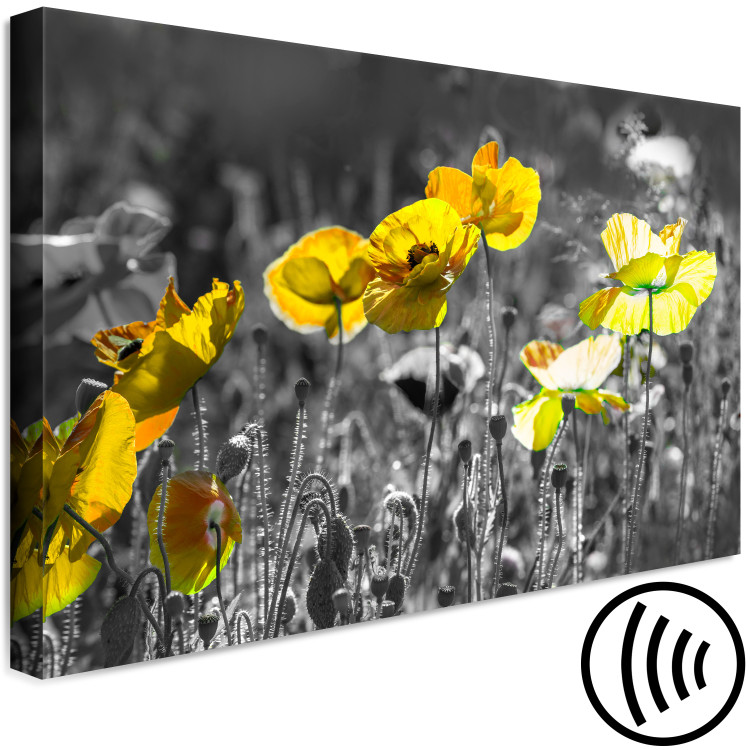 Canvas Print Nature's Contrast (1-part) - Spring Meadow of Blooming Poppies 123054 additionalImage 6