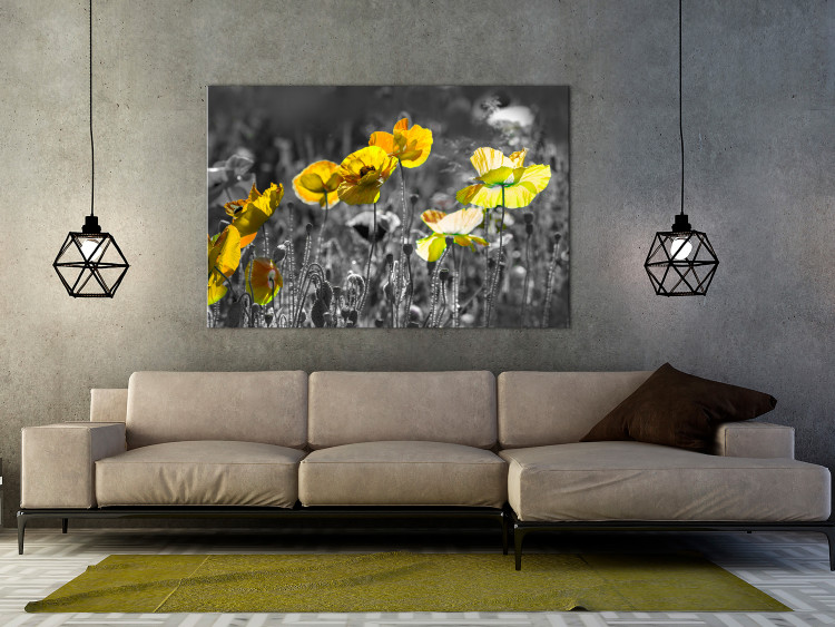Canvas Print Nature's Contrast (1-part) - Spring Meadow of Blooming Poppies 123054 additionalImage 3