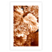 Poster Warm Scent - large and small plant flowers in autumn sepia tone 123854 additionalThumb 18