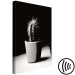 Canvas Print Cactus in a pot on the table - black and white photograph 125254 additionalThumb 6