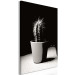 Canvas Print Cactus in a pot on the table - black and white photograph 125254 additionalThumb 2