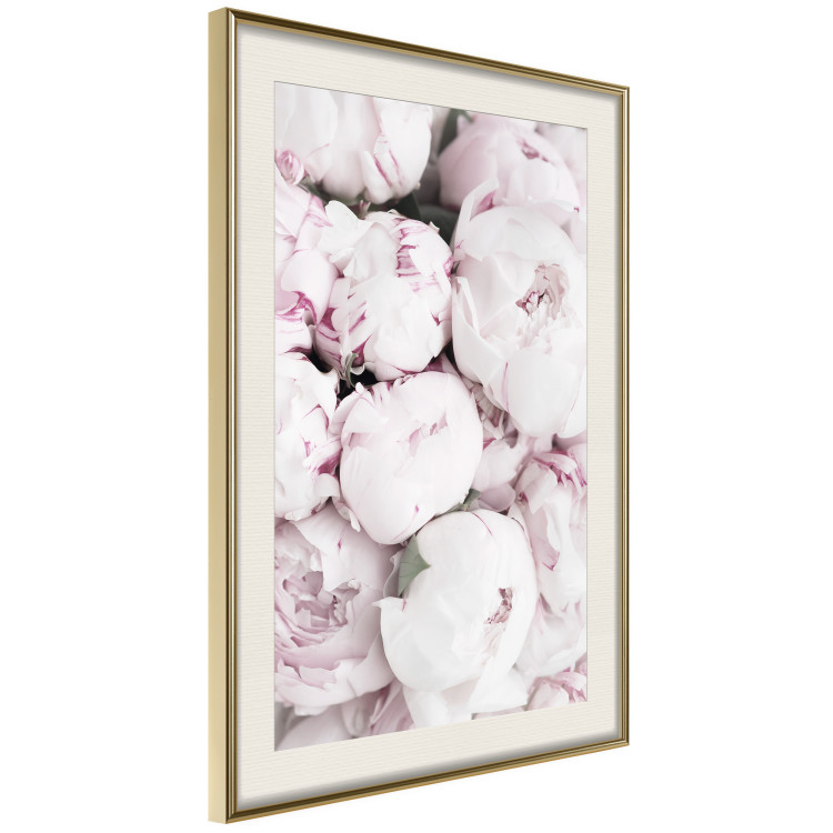 Poster Early Summer - landscape of a field with flowers in delicate pink hues 125754 additionalImage 2