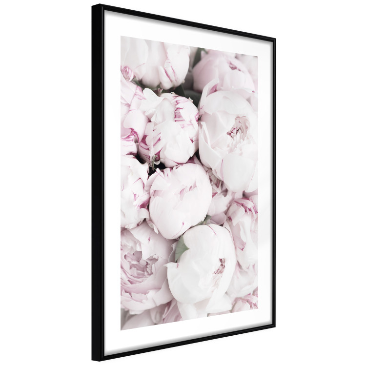Poster Early Summer - landscape of a field with flowers in delicate pink hues 125754 additionalImage 11
