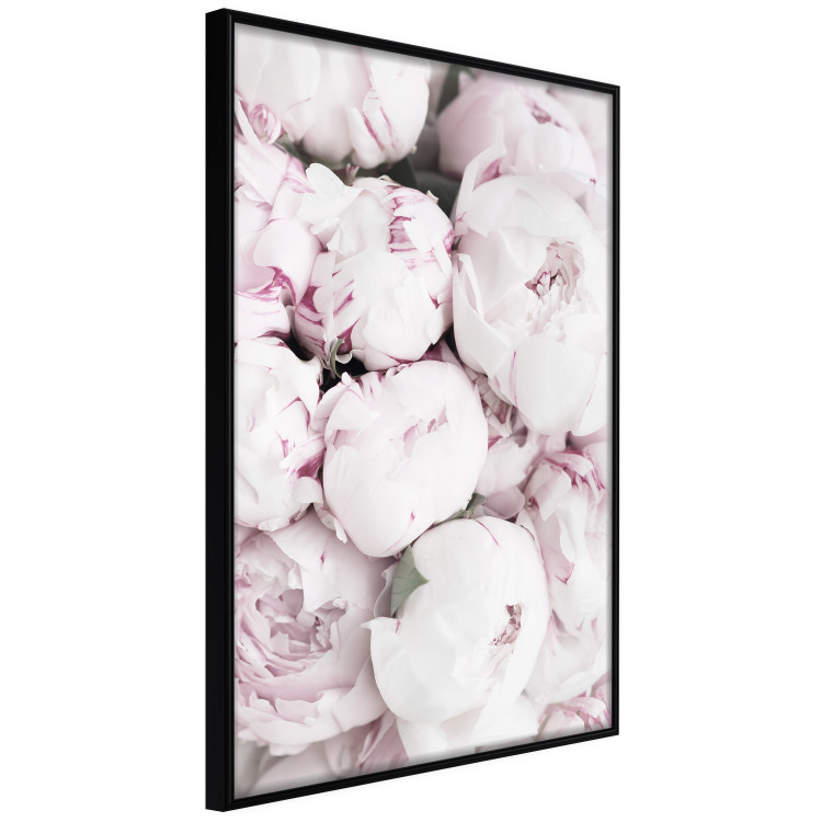 Poster Early Summer - landscape of a field with flowers in delicate pink hues 125754 additionalImage 10