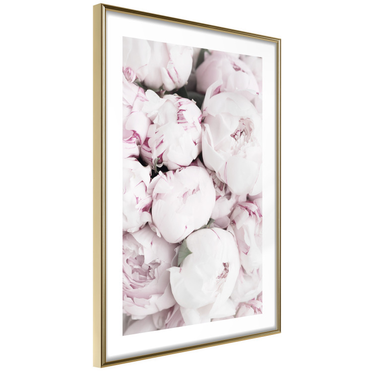 Picture wall Pink peonies 129311 additionalImage 2