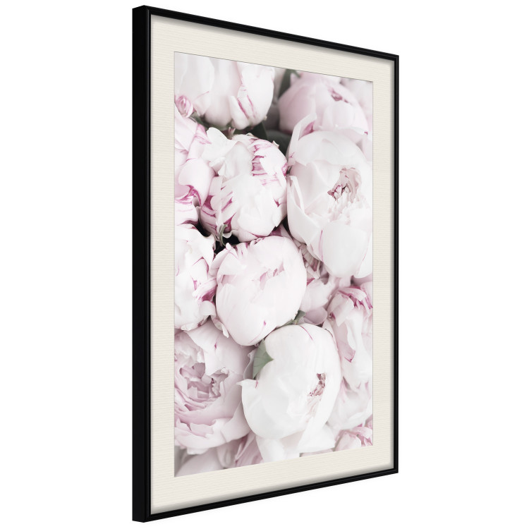 Poster Early Summer - landscape of a field with flowers in delicate pink hues 125754 additionalImage 3