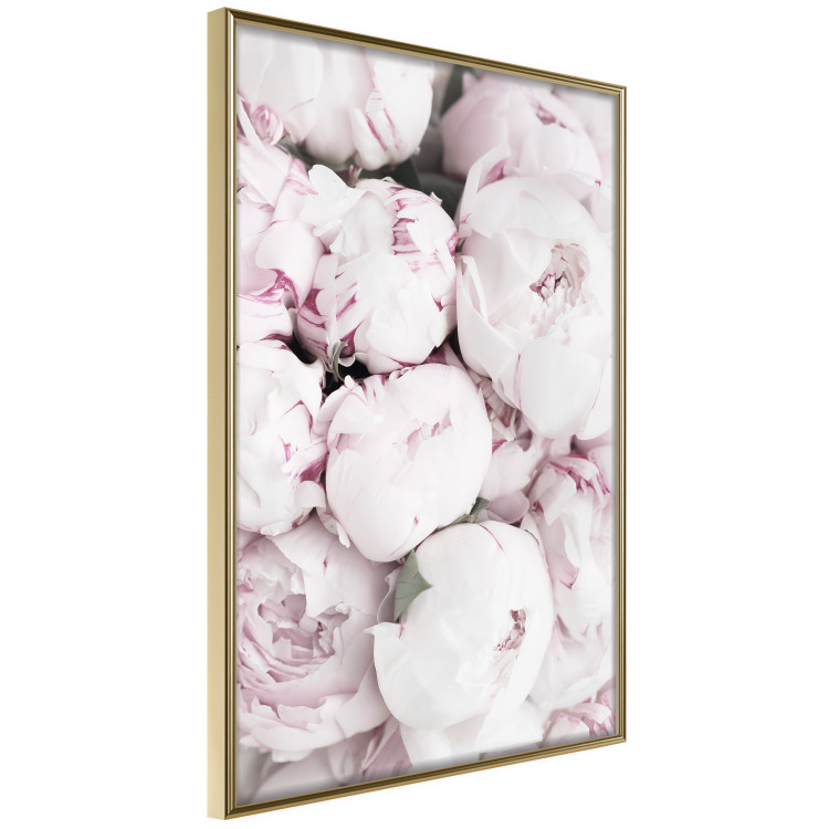 Poster Early Summer - landscape of a field with flowers in delicate pink hues 125754 additionalImage 14