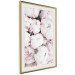 Poster Early Summer - landscape of a field with flowers in delicate pink hues 125754 additionalThumb 2