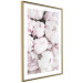 Poster Early Summer - landscape of a field with flowers in delicate pink hues 125754 additionalThumb 8