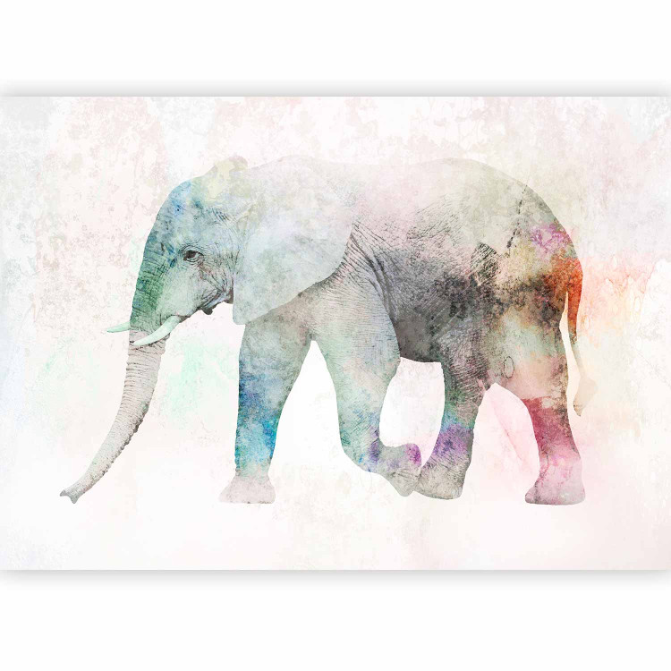 Photo Wallpaper African animals - elephant on a solid textured background with coloured accent 127554 additionalImage 5