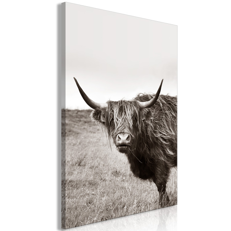 Canvas Ancient (1-piece) Vertical - gray photograph of a bull in a meadow 130254 additionalImage 2
