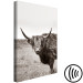 Canvas Ancient (1-piece) Vertical - gray photograph of a bull in a meadow 130254 additionalThumb 6