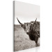 Canvas Ancient (1-piece) Vertical - gray photograph of a bull in a meadow 130254 additionalThumb 2