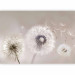 Wall Mural Dandelions and Wind 135754 additionalThumb 1