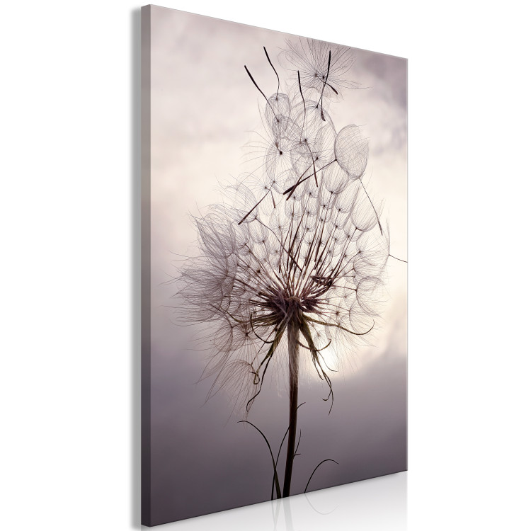 Canvas Art Print Inflorescence of a Dandelier - photo in the style of boho 137254 additionalImage 2