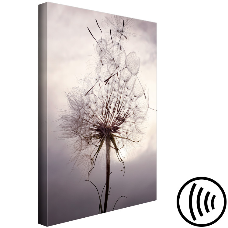 Canvas Art Print Inflorescence of a Dandelier - photo in the style of boho 137254 additionalImage 6