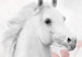 Wall Mural White horse between roses - a theme maintained in white and pink 138654 additionalThumb 8
