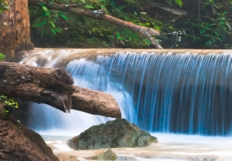 Large canvas print Reverie at the Waterfall [Large Format] 150754 additionalImage 4