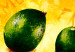 Canvas Lime, cherry, orange 48454 additionalThumb 3