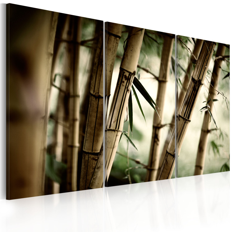 Canvas In a tropical forest 58654 additionalImage 2