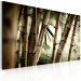 Canvas In a tropical forest 58654 additionalThumb 2