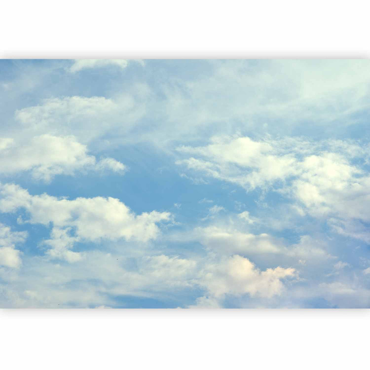 Wall Mural Head in the Clouds - Landscape of Blue Sky with White Clouds 59854 additionalImage 5