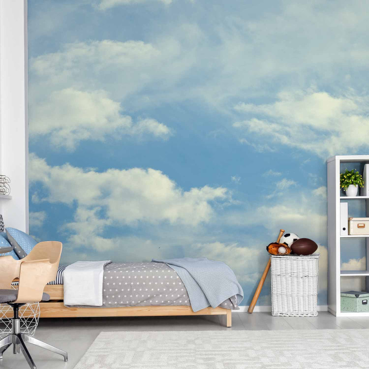 Wall Mural Head in the Clouds - Landscape of Blue Sky with White Clouds 59854 additionalImage 6