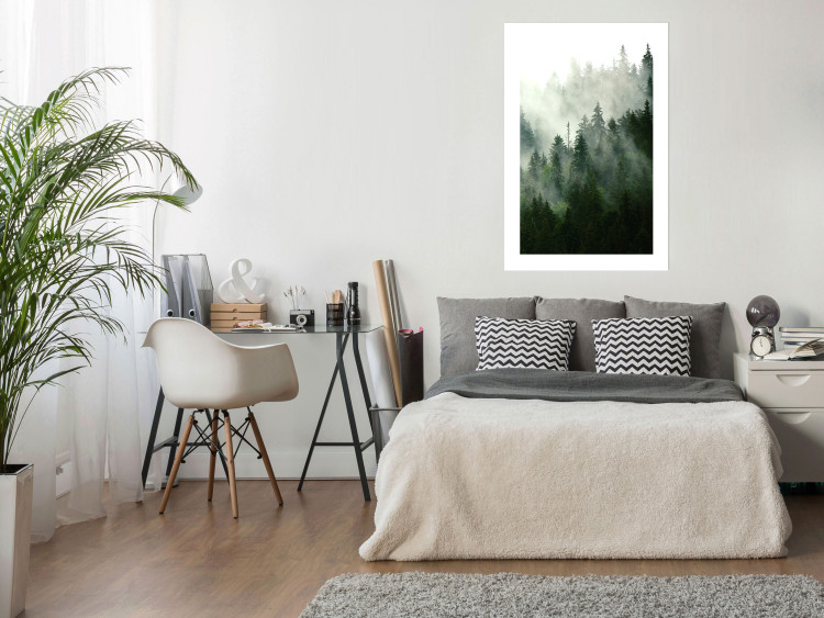 Wall Poster Coniferous Forest - Landscape of tall dark green trees amidst dense fog 114364 additionalImage 4