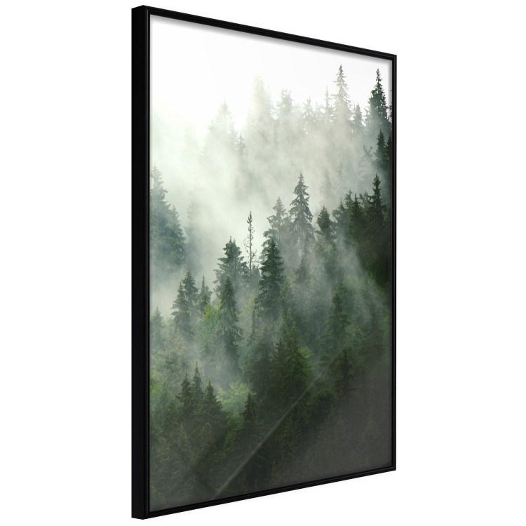 Wall gallery set Soothing nature 129680 additionalImage 5