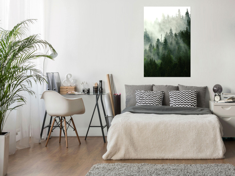 Wall Poster Coniferous Forest - Landscape of tall dark green trees amidst dense fog 114364 additionalImage 17